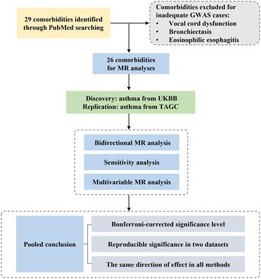 The associations between asthma and common comorbidities: a comprehensive Mendelian randomization study